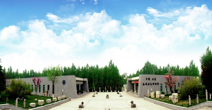 图片8